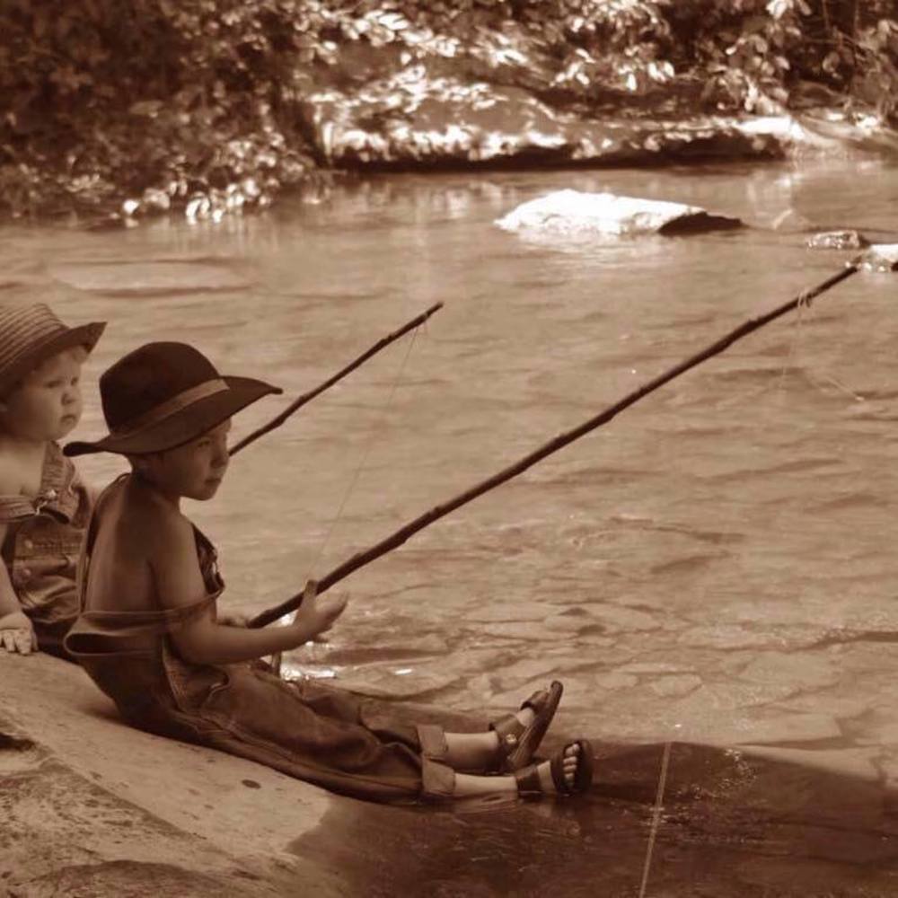 Meet your Posher, Susan